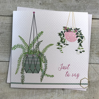 JUST TO SAY - SUCCULENTS (VN138)