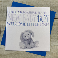 Gorgeous, Beautiful, Perfect Boy Welcome Little One, Blue Bunny (N201) (XN201)